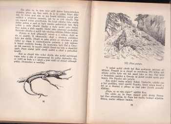 Zane Grey: V džungli