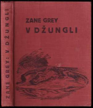 V džungli