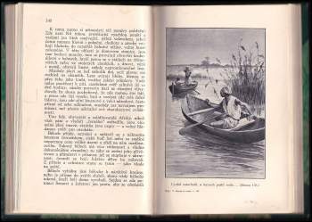 Karl May: V ebenové zemi