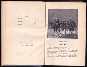 Karl May: V ebenové zemi