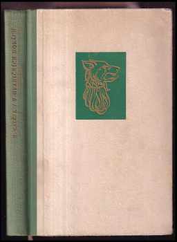 V hraničních horách