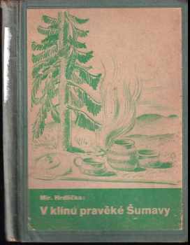 V klínu pravěké Šumavy