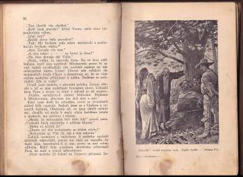 Karl May: V Kordillerách - román z cyklu Dobyvatelé Gran Chaca - 3. díl