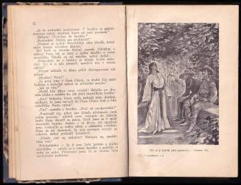 Karl May: V Kordillerách - román z cyklu Dobyvatelé Gran Chaca - 3. díl