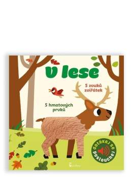 V lese