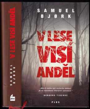 V lese visí anděl