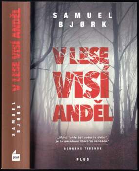 V lese visí anděl