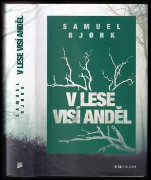 Samuel Bjørk: V lese visí anděl