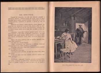 Gustave Aimard: V mexických prériích