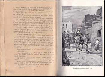 Gustave Aimard: V mexických prériích