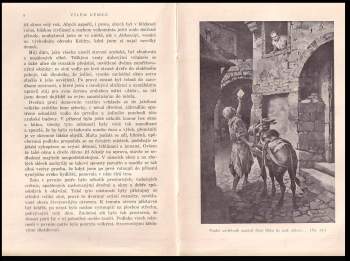 Vilém Němec: V moci pouště