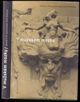 V mužském mozku