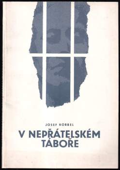 V nepřátelském táboře