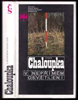 V nepřímém osvětlení