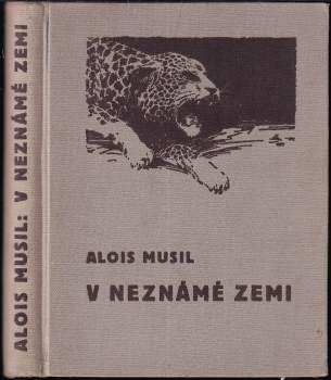 V neznámé zemi
