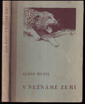 V neznámé zemi