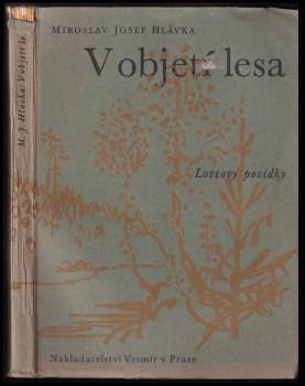 V objetí lesa