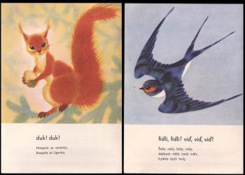 Ferdinand Krch: V poli a v háji