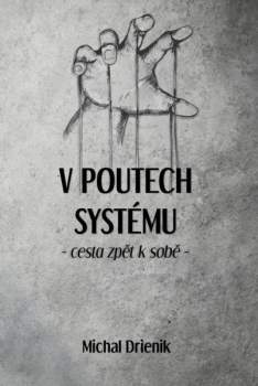 Michal Drienik: V poutech systému