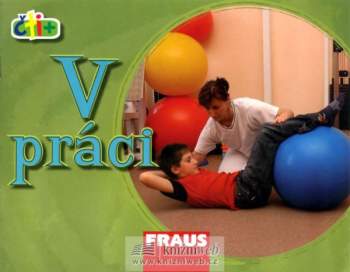 V práci