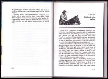 Max Brand: V pustinách arizonských