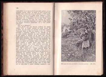 Karl May: Ahriman Mirza - V říši stříbrného lva 5