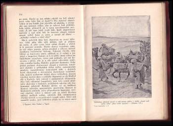 Karl May: Vězeň bagdadský - V říši stříbrného lva II.
