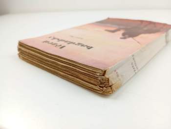 Karl May: Vězeň bagdadský - V říši stříbrného lva II.