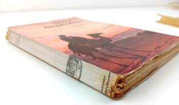 Karl May: Vězeň bagdadský - V říši stříbrného lva II.