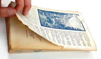 Karl May: Na hoře Alláhově - V říši stříbrného lva 8