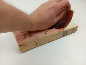 Karl May: Na hoře Alláhově - V říši stříbrného lva 8