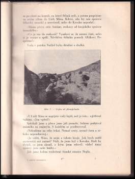 Alois Musil: V roklích Edomských