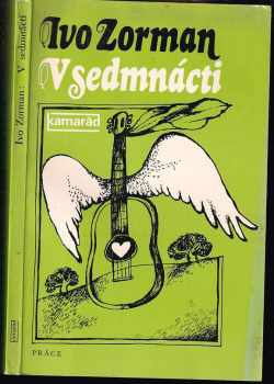 V sedmnácti