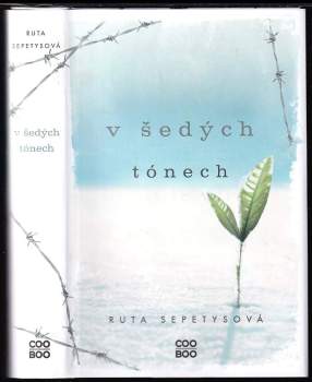 V šedých tónech
