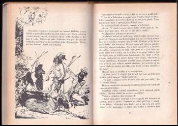 Eduard Štorch: V šeru dávných věků