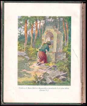 Karel Klostermann: V srdci šumavských hvozdů