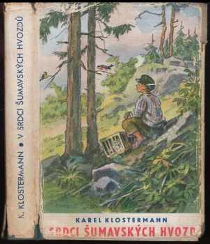 V srdci šumavských hvozdů