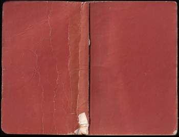 Dmitrij Nikolajevič Medvedev: V týlu nepřítele