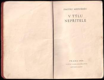 Dmitrij Nikolajevič Medvedev: V týlu nepřítele