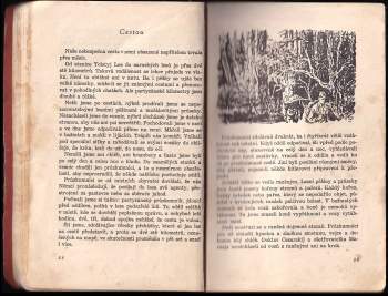 Dmitrij Nikolajevič Medvedev: V týlu nepřítele