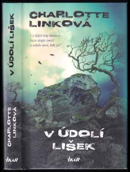 V údolí lišek