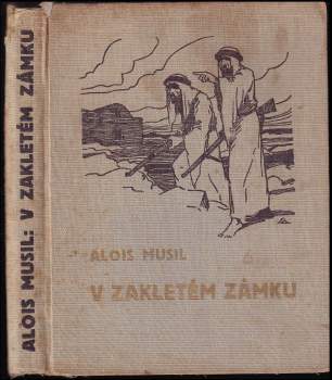 V zakletém zámku