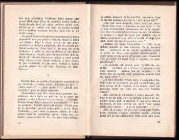 Božena Němcová: V zámku a podzámčí a jiné povídky