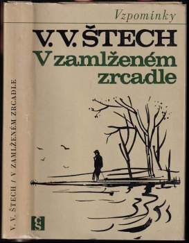 V zamlženém zrcadle