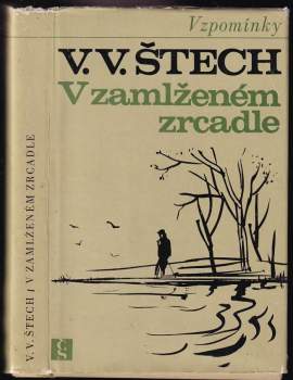 V zamlženém zrcadle