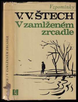 V zamlženém zrcadle