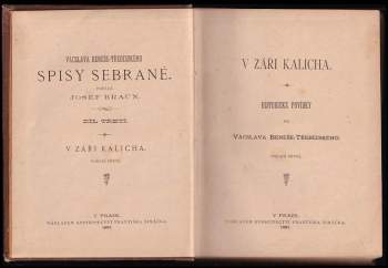 Václav Beneš-Třebízský: V záři kalicha