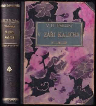 Václav Beneš-Třebízský: V záři kalicha