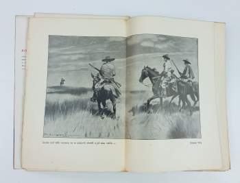Karl May: V zemi černých stanů - román z cyklu V říši stříbrného lva I.