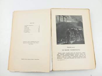 Karl May: V zemi černých stanů - román z cyklu V říši stříbrného lva I.